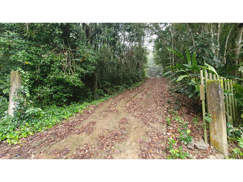 Fazenda à venda com 2 quartos, 100m² - Foto 6