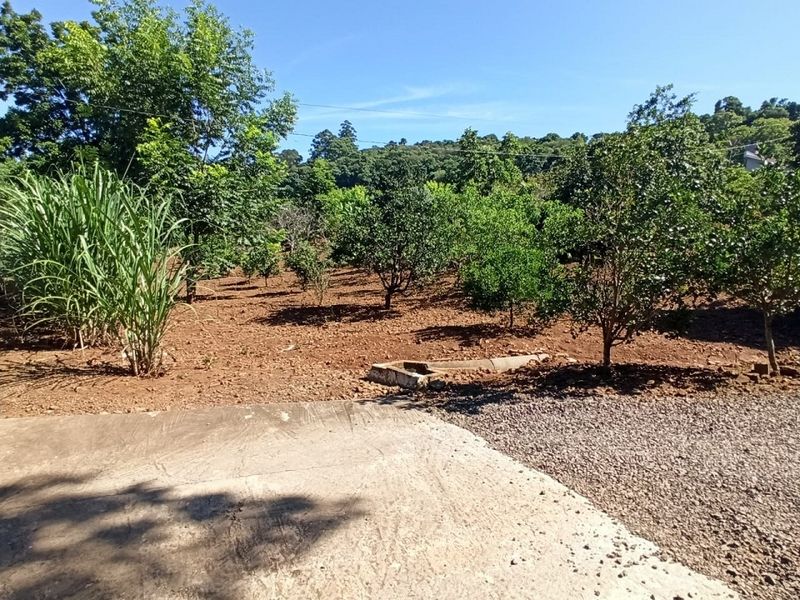 Sítio à venda com 3 quartos, 180m² - Foto 81