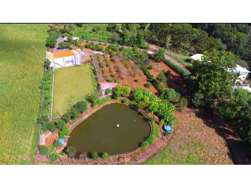 Sítio à venda com 3 quartos, 180m² - Foto 6
