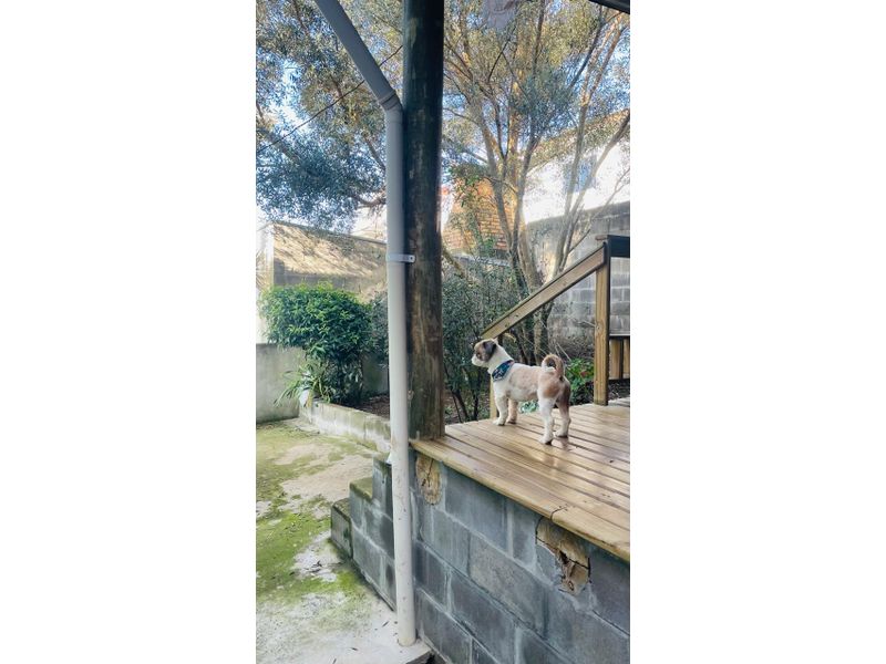 Casa, 4 quartos, 132240 m² - Foto 31