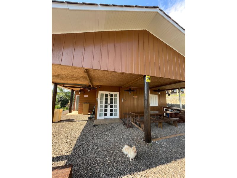 Sítio à venda com 3 quartos, 111m² - Foto 21