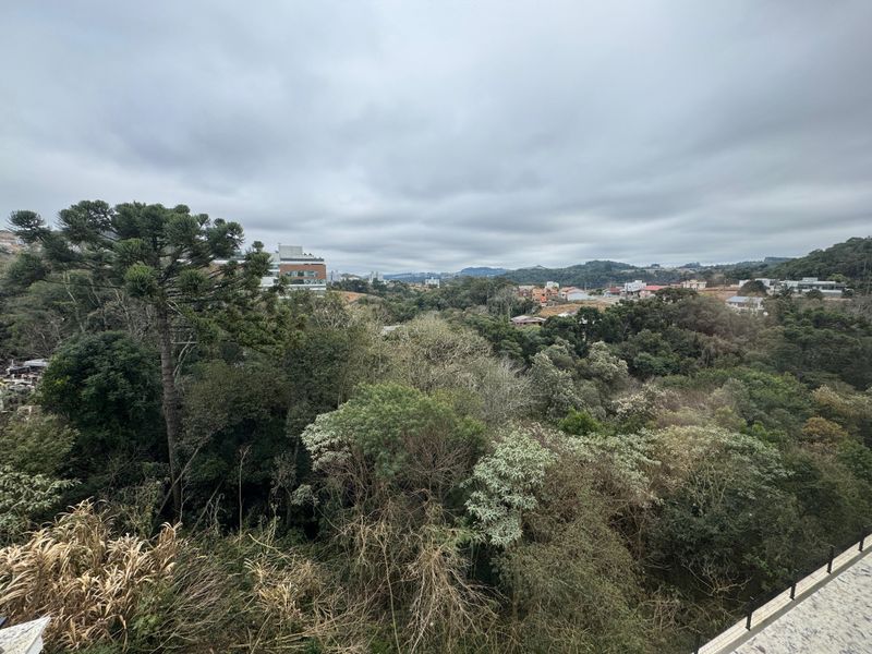 Apartamento à venda com 2 quartos, 89m² - Foto 66