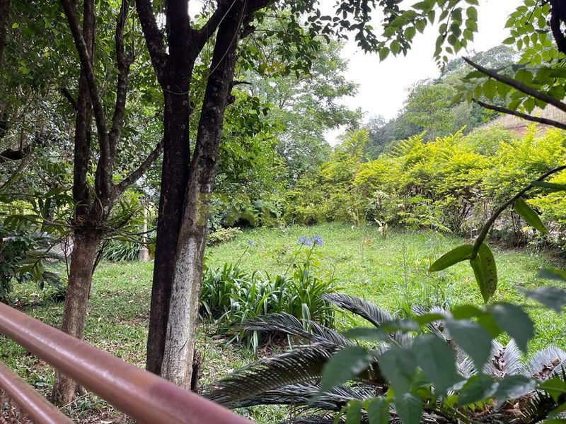 Apartamento à venda com e no bairro Zona Rural