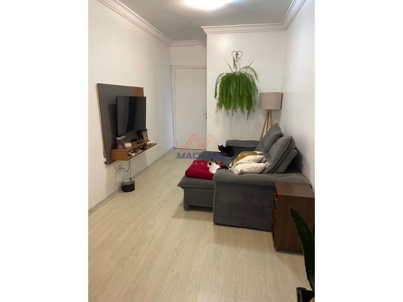 Apartamento à venda com 3 dormitórios, 1 banheiro, 1 vaga de garagem e 79m² de área privativa no bairro Paraíso