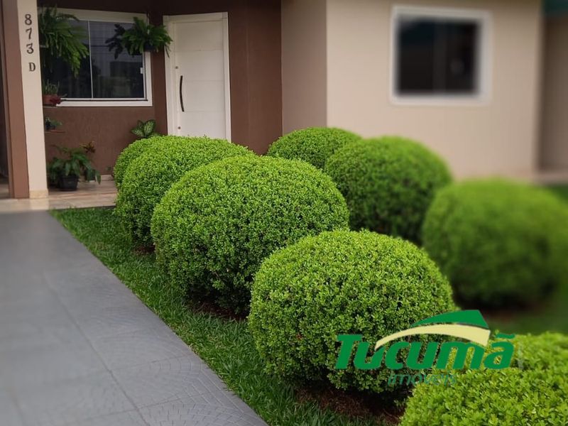 Casa à venda com 2 dormitórios, 2 banheiros, 1 vaga de garagem e 390m² de área privativa no bairro Líder