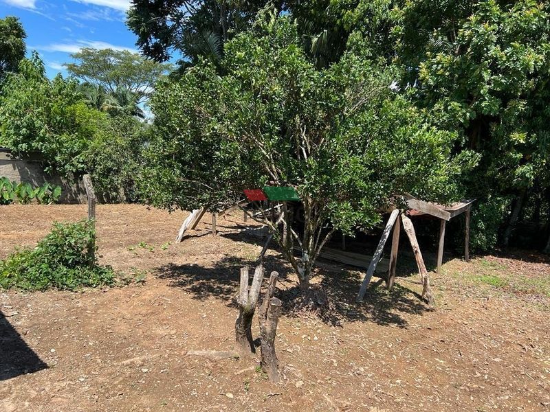 Terreno GASPAR - SC — foto 2