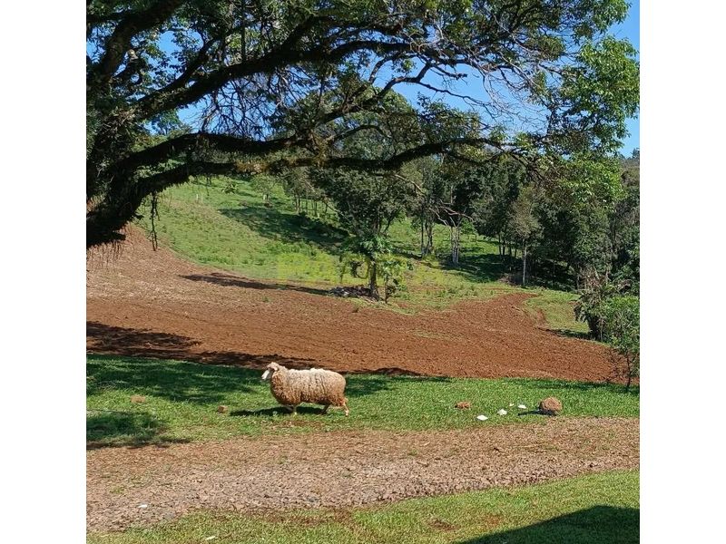 Apartamento à venda com e 200m² de área privativa no bairro Zona Rural