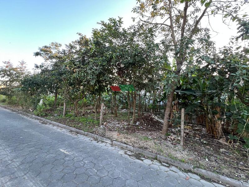 Terreno GASPAR - SC — foto 6