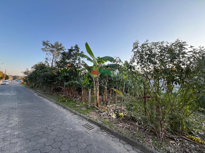 Terreno GASPAR - SC — foto 5