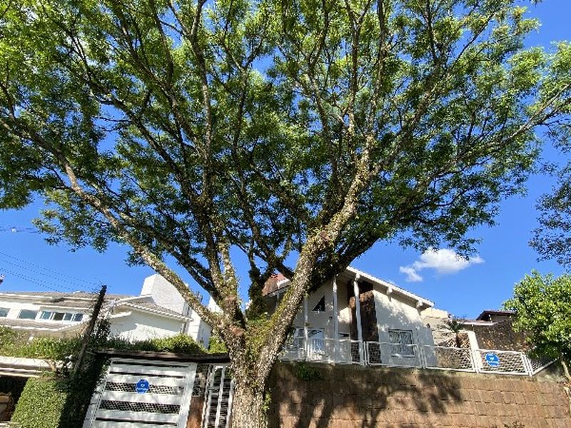 Casa à venda com 3 dormitórios e 3 banheiros no bairro Santa Maria